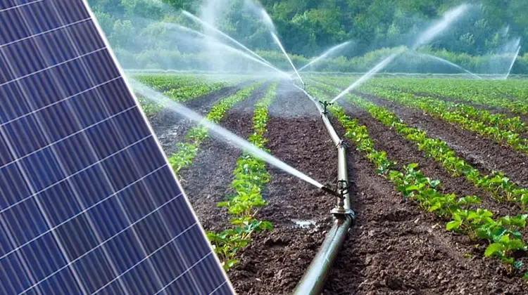 paneles solares para riego agricola precio